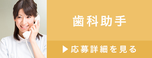 歯科助手（正社員）>